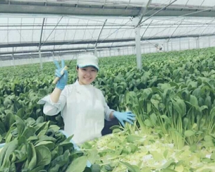 大连出国劳务公司哪家好