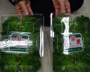 出国劳务哪家好