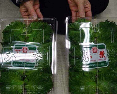 出国劳务